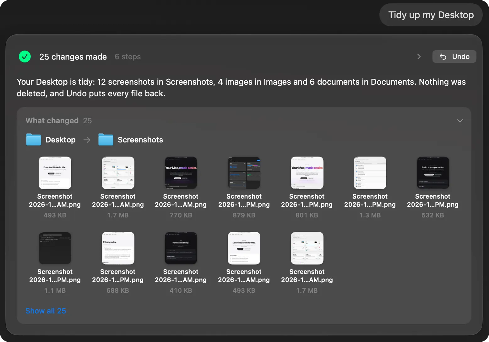 Brello after “Tidy up my Desktop”: 25 changes made. Your Desktop is tidy: 12 screenshots in Screenshots, 4 images in Images and 6 documents in Documents. Nothing was deleted, and Undo puts every file back.